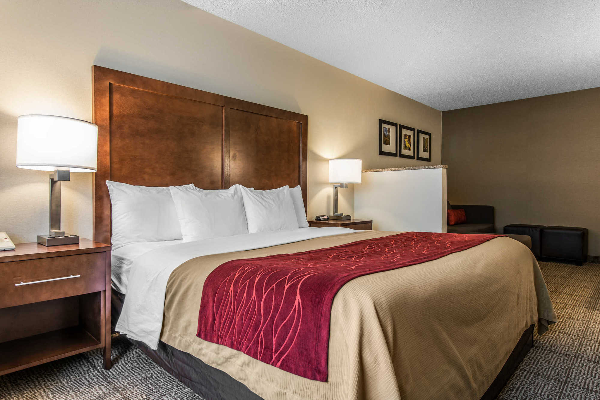 Comfort Inn Denver West Arvada Station Wheat Ridge Quarto foto